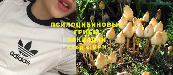 прущая мука Михайлов